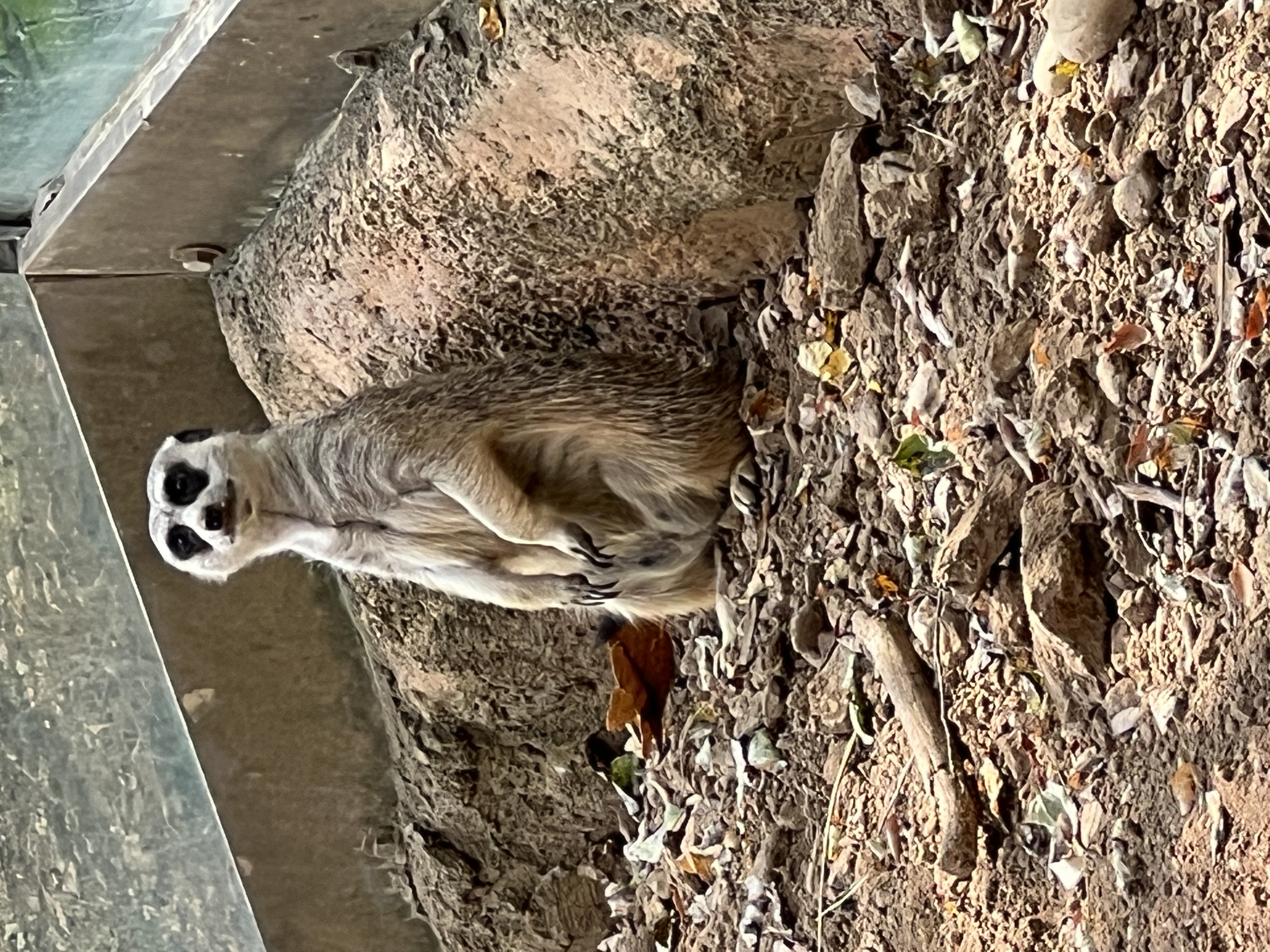 ./2025/11 - Nashville Trip/IMG_7098.JPG